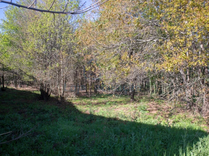 Terreno para Venda em Merelim (São Paio), Panoias e Parada de Tibães Foto 20