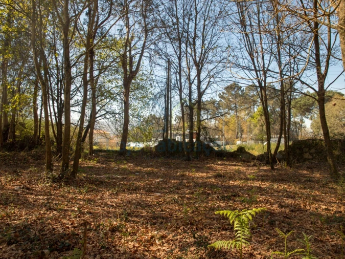 Terreno para Venda em Merelim (São Paio), Panoias e Parada de Tibães Foto 37