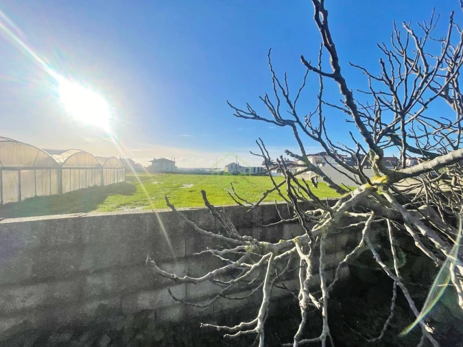 Moradia T3 para Venda em Aguçadoura e Navais Foto 12