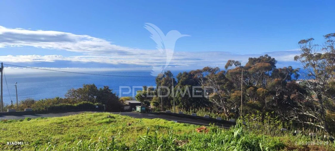Terreno para Venda em Caniço Foto 3