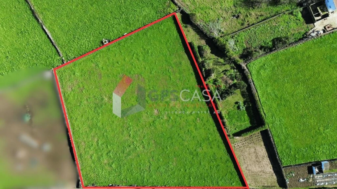 Terreno para Venda em São Bras Foto 15