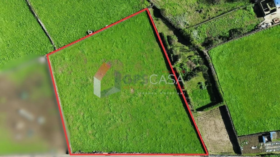 Terreno para Venda em São Bras Foto 14