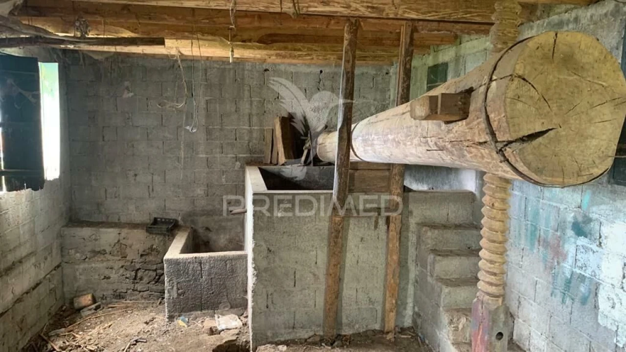 Terreno para Venda em Canhas Foto 13