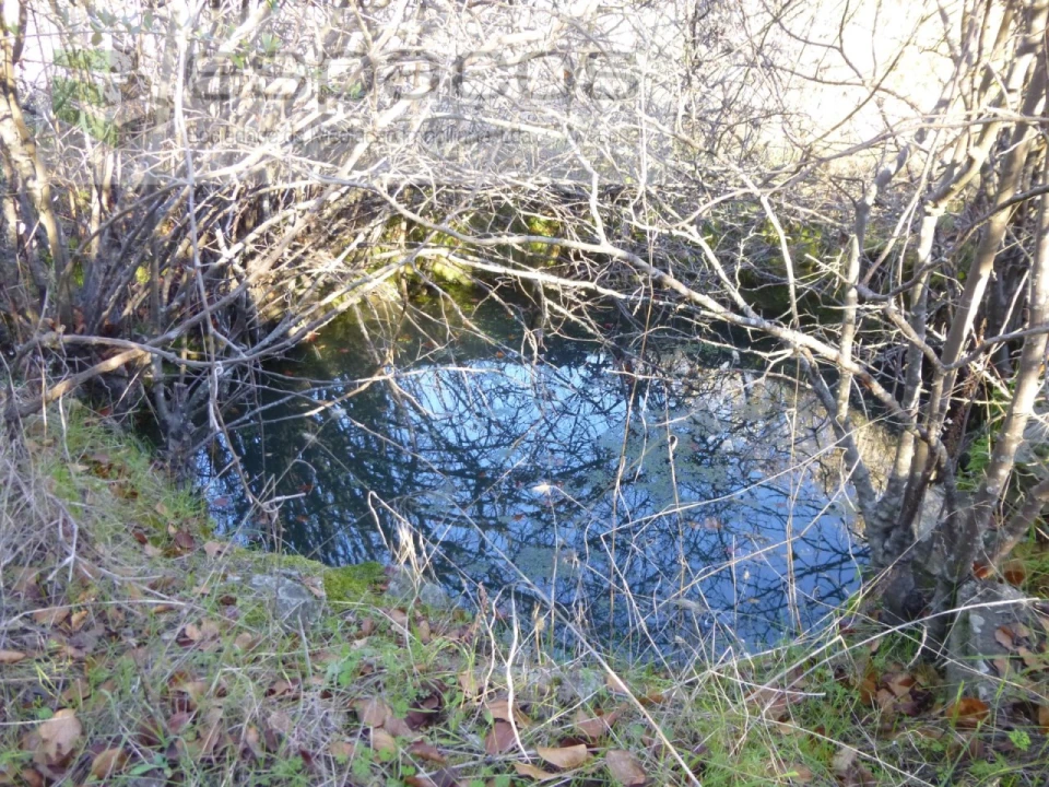 Terreno Agricola ou Rústico para Venda em Sarzedas Foto 3