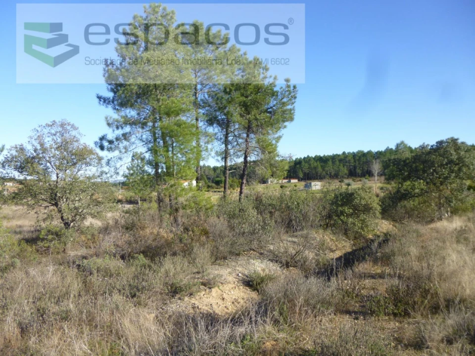 Terreno Agricola ou Rústico para Venda em Sarzedas Foto 4
