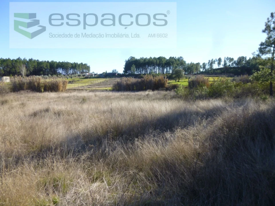 Terreno Agricola ou Rústico para Venda em Sarzedas Foto 1