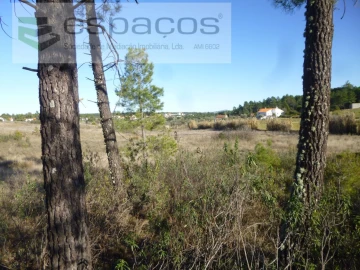 Terreno Agricola ou Rústico para Venda em Sarzedas