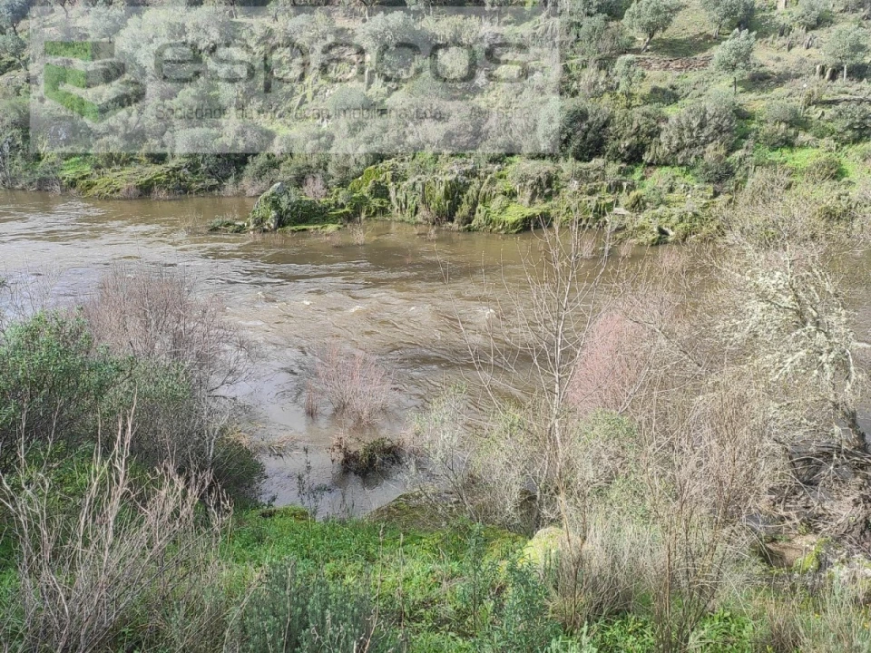 Terreno Agricola ou Rústico para Venda em Sarnadas de Rodão Foto 11
