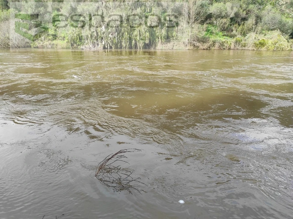 Terreno Agricola ou Rústico para Venda em Sarnadas de Rodão Foto 7