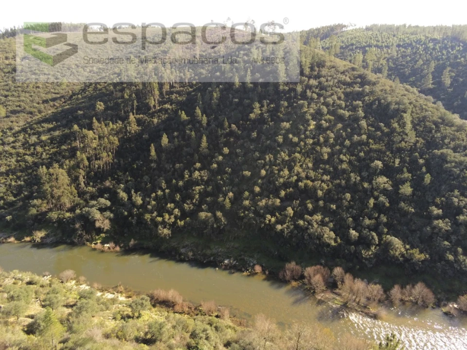 Terreno Agricola ou Rústico para Venda em Sarnadas de Rodão Foto 2