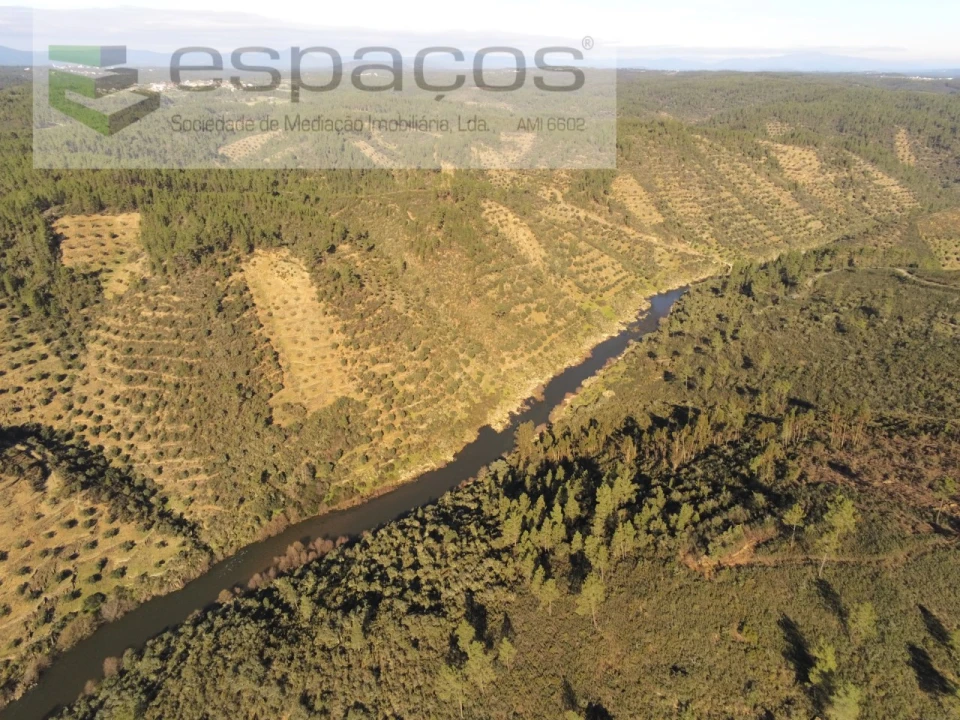 Terreno Agricola ou Rústico para Venda em Sarnadas de Rodão Foto 3