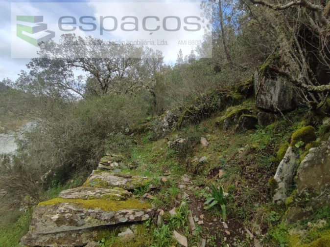 Terreno Agricola ou Rústico para Venda em Sarnadas de Rodão Foto 5