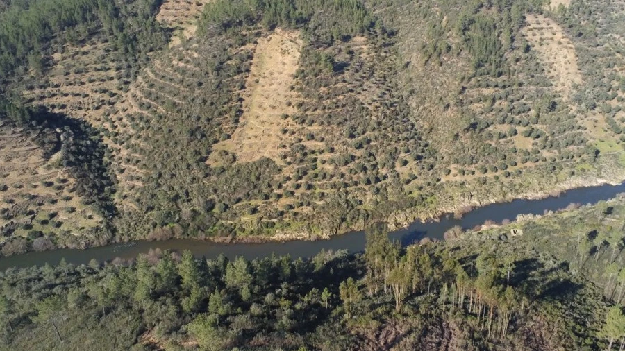 Terreno Agricola ou Rústico para Venda em Sarnadas de Rodão
