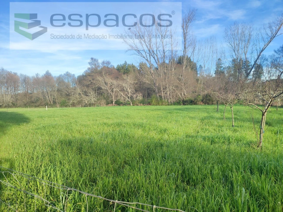 Terreno Agricola ou Rústico para Venda em Póvoa de Rio de Moinhos e Cafede Foto 7