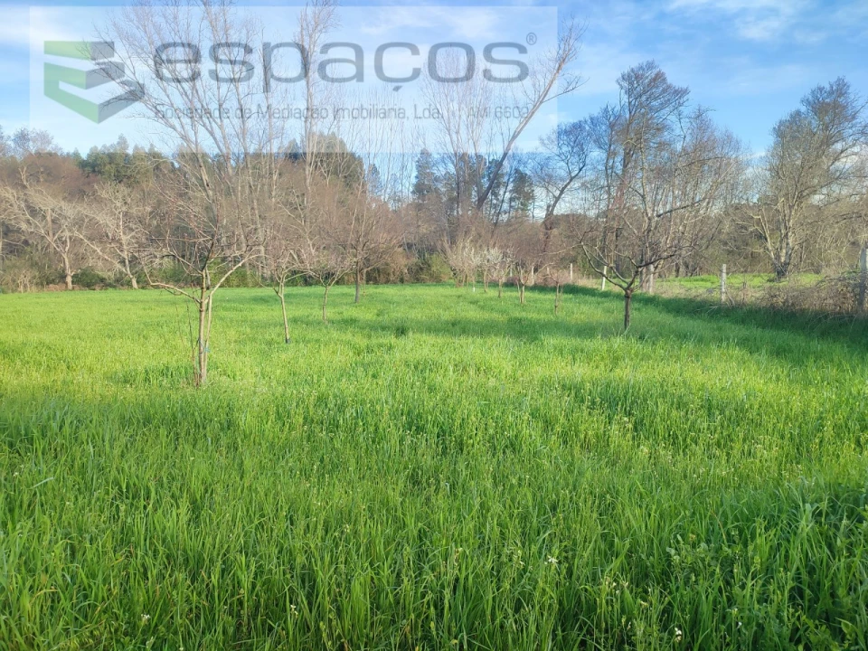 Terreno Agricola ou Rústico para Venda em Póvoa de Rio de Moinhos e Cafede Foto 8
