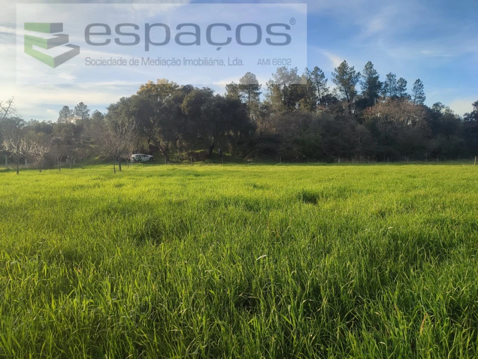 Terreno Agricola ou Rústico para Venda em Póvoa de Rio de Moinhos e Cafede Foto 9