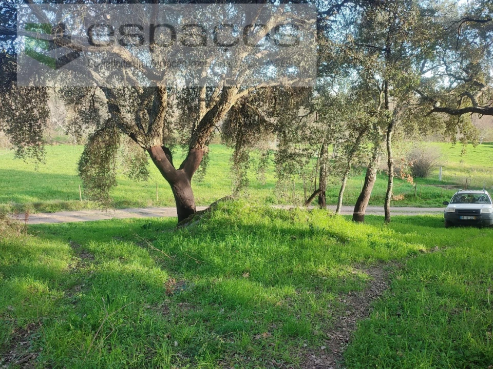 Terreno Agricola ou Rústico para Venda em Póvoa de Rio de Moinhos e Cafede Foto 3