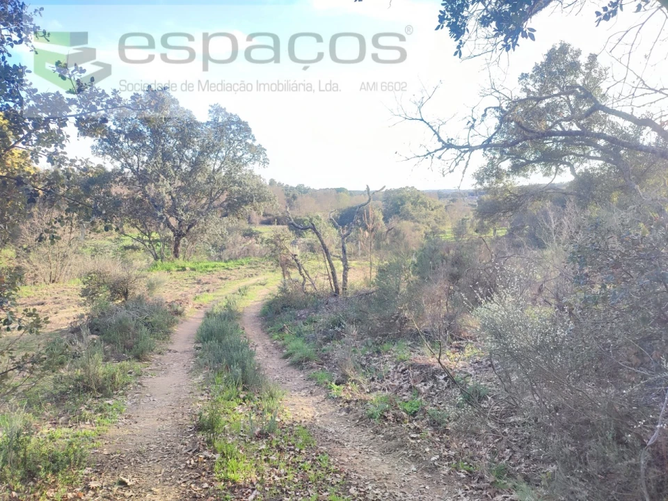 Terreno Agricola ou Rústico para Venda em Póvoa de Rio de Moinhos e Cafede Foto 12