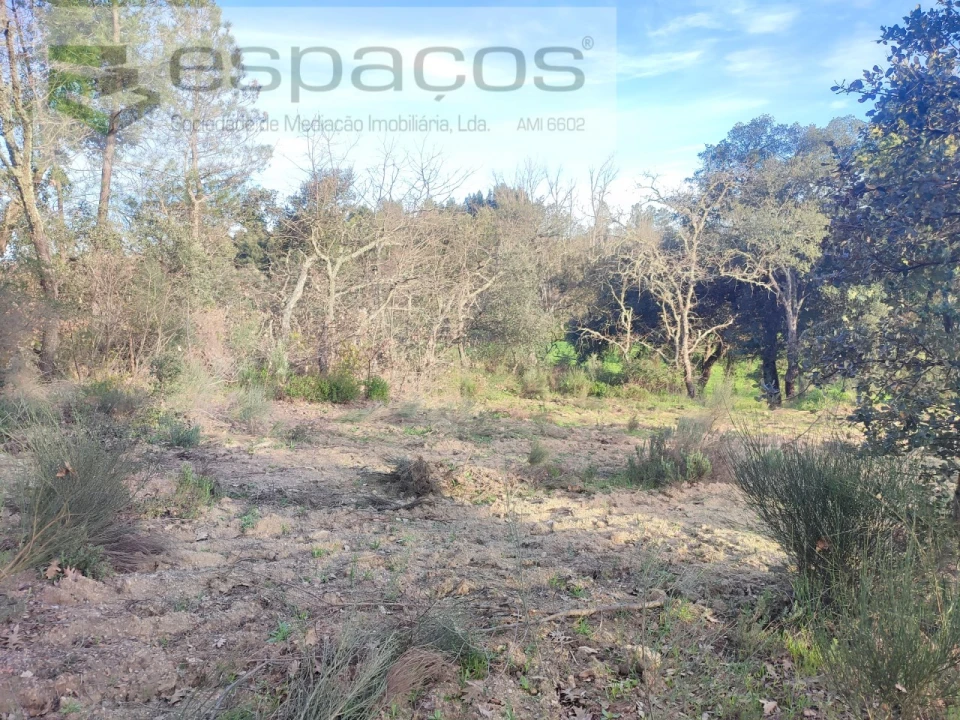 Terreno Agricola ou Rústico para Venda em Póvoa de Rio de Moinhos e Cafede Foto 13