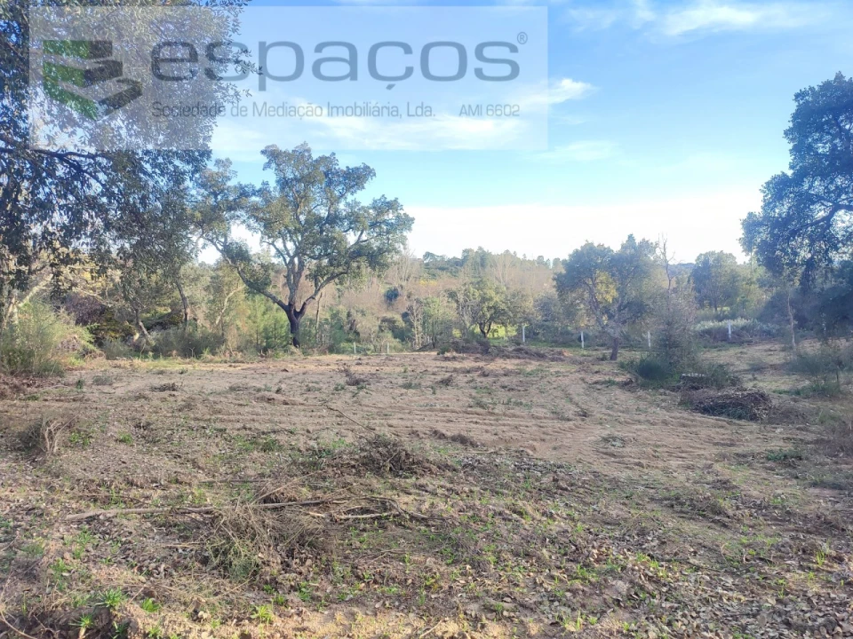 Terreno Agricola ou Rústico para Venda em Póvoa de Rio de Moinhos e Cafede Foto 15