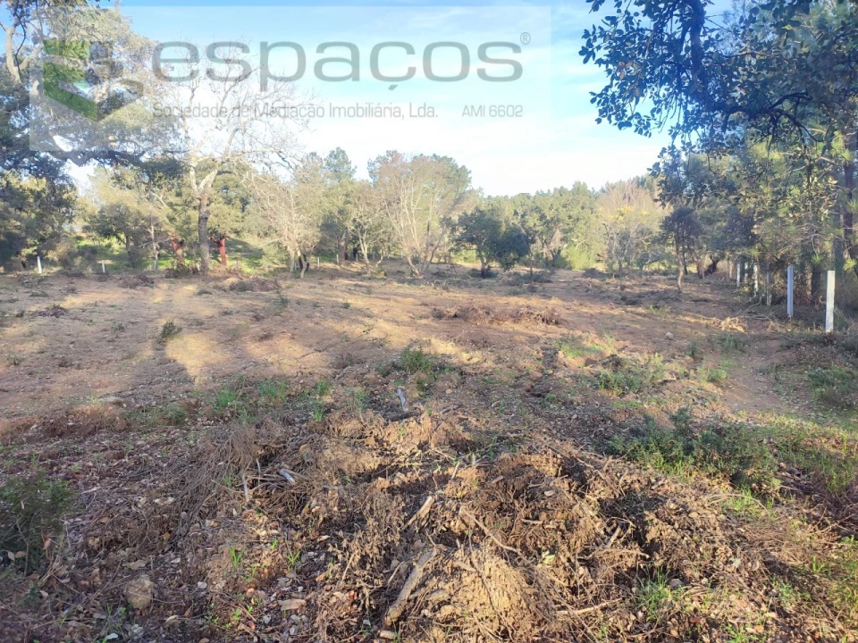 Terreno Agricola ou Rústico para Venda em Póvoa de Rio de Moinhos e Cafede Foto 20