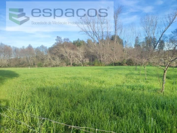 Terreno Agricola ou Rústico para Venda em Póvoa de Rio de Moinhos e Cafede
