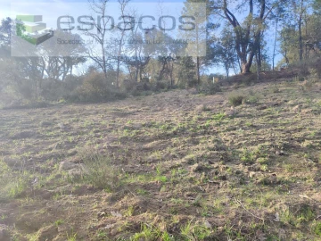 Terreno Agricola ou Rústico para Venda em Póvoa de Rio de Moinhos e Cafede