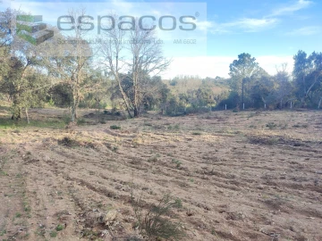 Terreno Agricola ou Rústico para Venda em Póvoa de Rio de Moinhos e Cafede