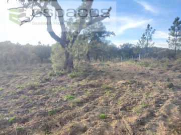 Terreno Agricola ou Rústico para Venda em Póvoa de Rio de Moinhos e Cafede