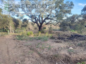 Terreno Agricola ou Rústico para Venda em Póvoa de Rio de Moinhos e Cafede