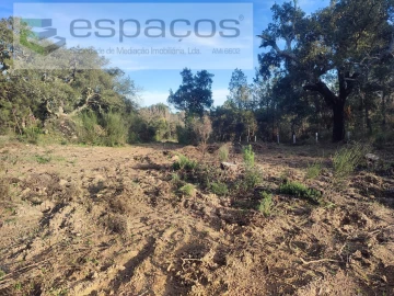 Terreno Agricola ou Rústico para Venda em Póvoa de Rio de Moinhos e Cafede