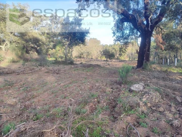 Terreno Agricola ou Rústico para Venda em Póvoa de Rio de Moinhos e Cafede