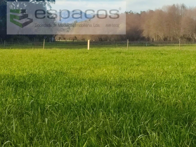Terreno Agricola ou Rústico para Venda em Póvoa de Rio de Moinhos e Cafede Foto 6