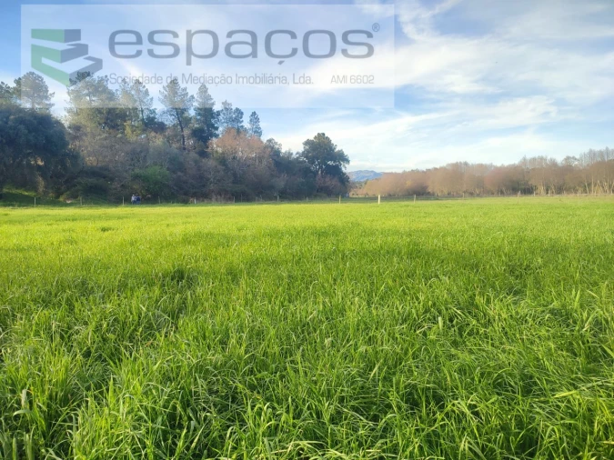 Terreno Agricola ou Rústico para Venda em Póvoa de Rio de Moinhos e Cafede Foto 2