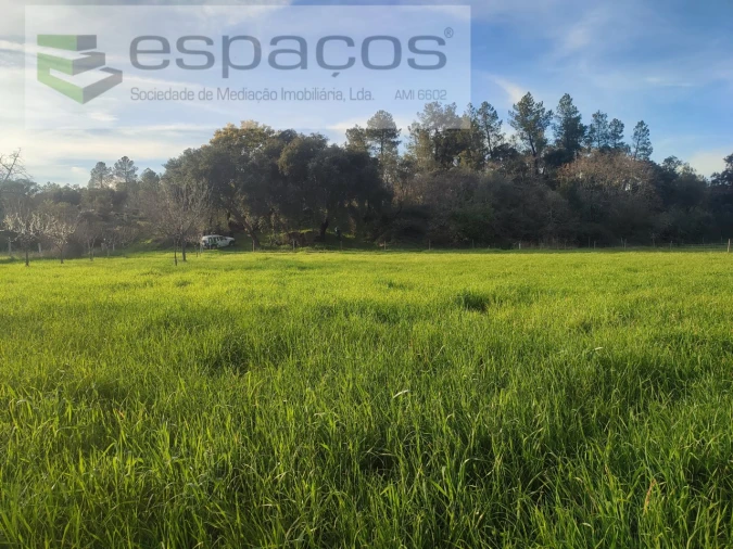 Terreno Agricola ou Rústico para Venda em Póvoa de Rio de Moinhos e Cafede Foto 9