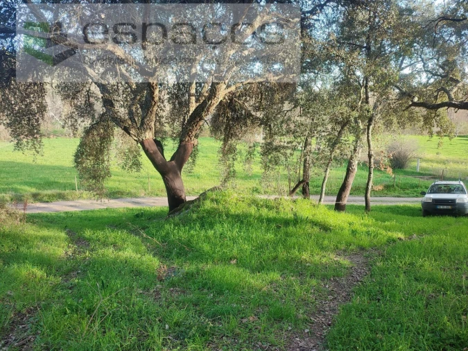 Terreno Agricola ou Rústico para Venda em Póvoa de Rio de Moinhos e Cafede Foto 3