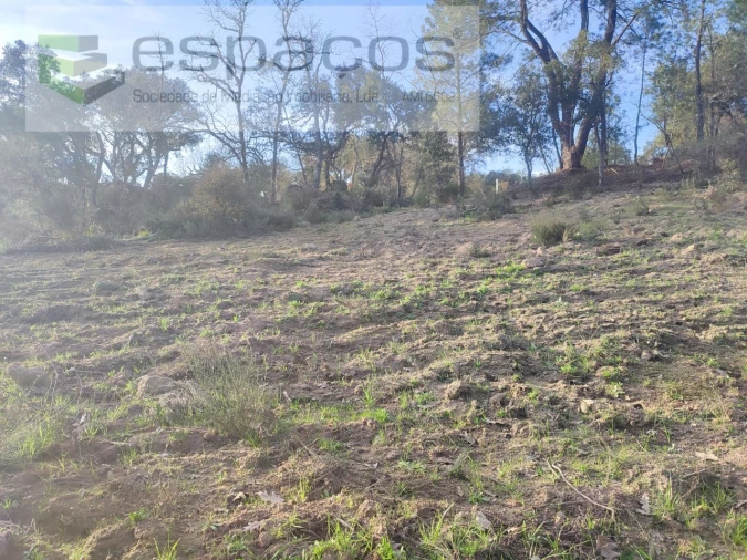 Terreno Agricola ou Rústico para Venda em Póvoa de Rio de Moinhos e Cafede Foto 11