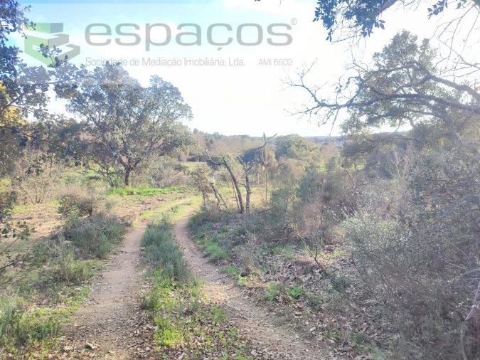 Terreno Agricola ou Rústico para Venda em Póvoa de Rio de Moinhos e Cafede Foto 12