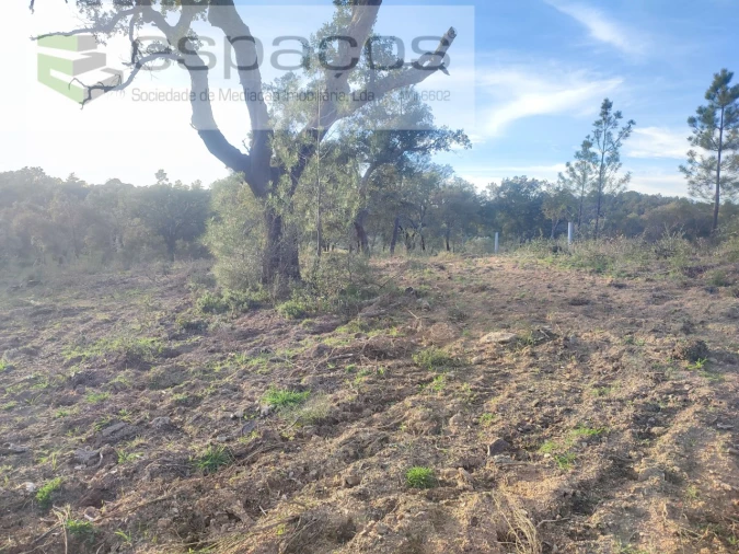 Terreno Agricola ou Rústico para Venda em Póvoa de Rio de Moinhos e Cafede Foto 17