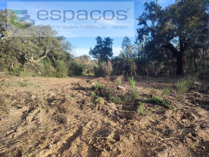 Terreno Agricola ou Rústico para Venda em Póvoa de Rio de Moinhos e Cafede Foto 18