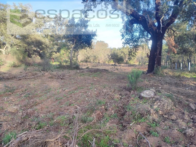 Terreno Agricola ou Rústico para Venda em Póvoa de Rio de Moinhos e Cafede Foto 19