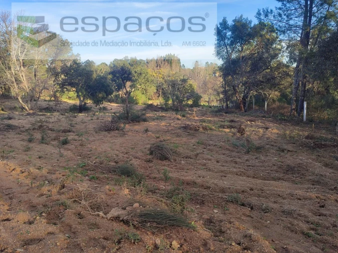 Terreno Agricola ou Rústico para Venda em Póvoa de Rio de Moinhos e Cafede Foto 22