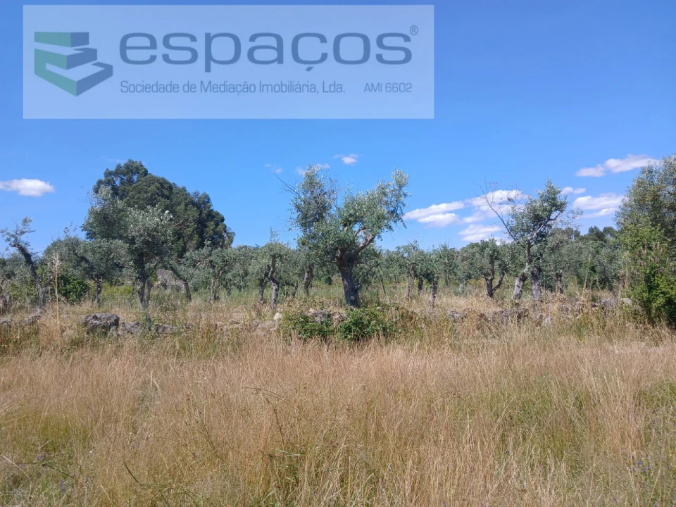Quinta para Venda em Póvoa de Rio de Moinhos e Cafede Foto 21