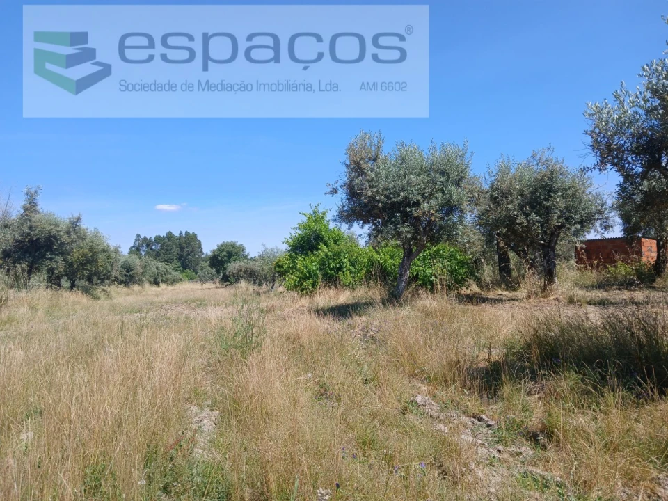 Quinta para Venda em Póvoa de Rio de Moinhos e Cafede Foto 22