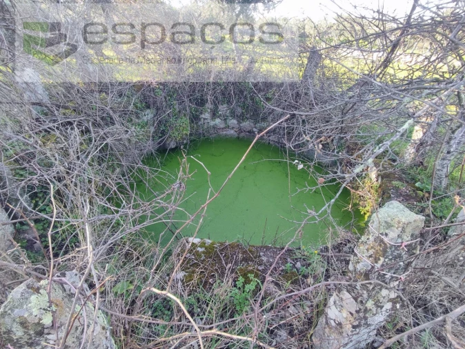Quinta para Venda em Póvoa de Rio de Moinhos e Cafede Foto 11