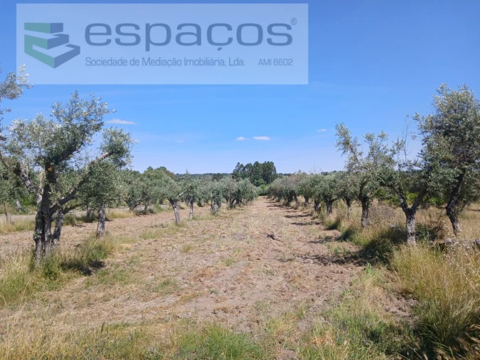 Quinta para Venda em Póvoa de Rio de Moinhos e Cafede Foto 18