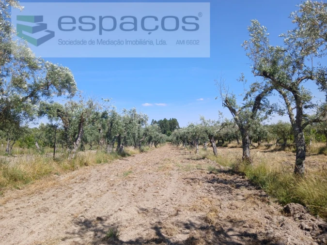 Quinta para Venda em Póvoa de Rio de Moinhos e Cafede Foto 19
