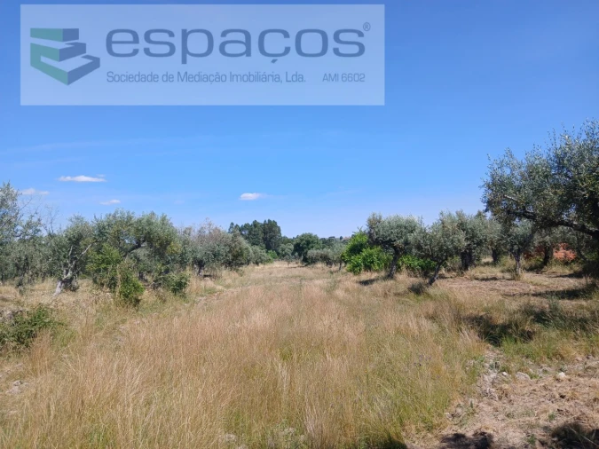 Quinta para Venda em Póvoa de Rio de Moinhos e Cafede Foto 20