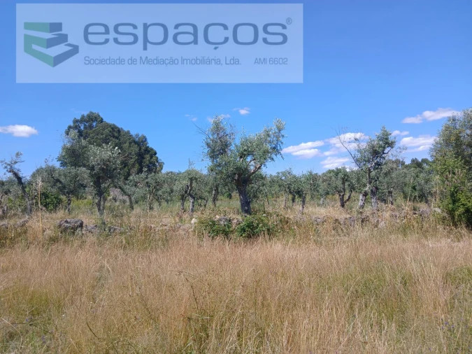 Quinta para Venda em Póvoa de Rio de Moinhos e Cafede Foto 21