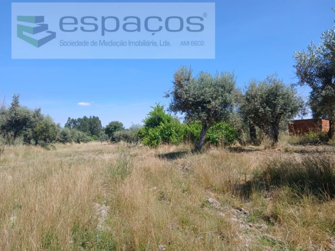 Quinta para Venda em Póvoa de Rio de Moinhos e Cafede Foto 22